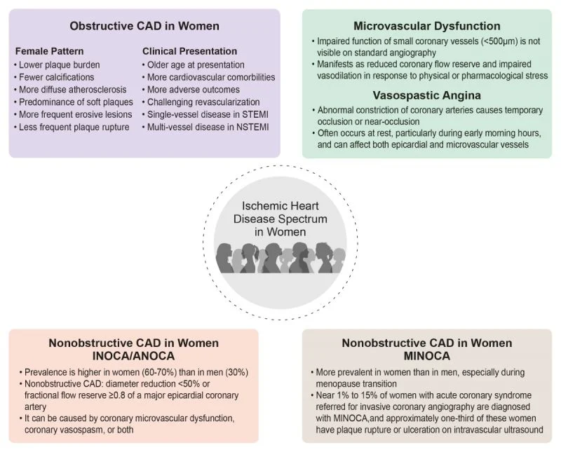 Asim Katbeh: Light Spot on the Spectrum of Ischemic Heart Disease in Women