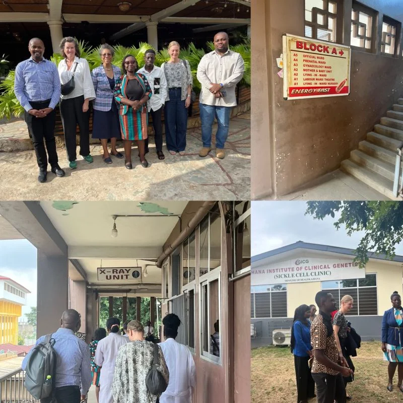 Liselotte Hyveled: Exploring Opportunities to Improve Hemophilia and Sickle Cell Care in Ghana 1 Liselotte Hyveled: Exploring Opportunities to Improve Hemophilia and Sickle Cell Care in Ghana