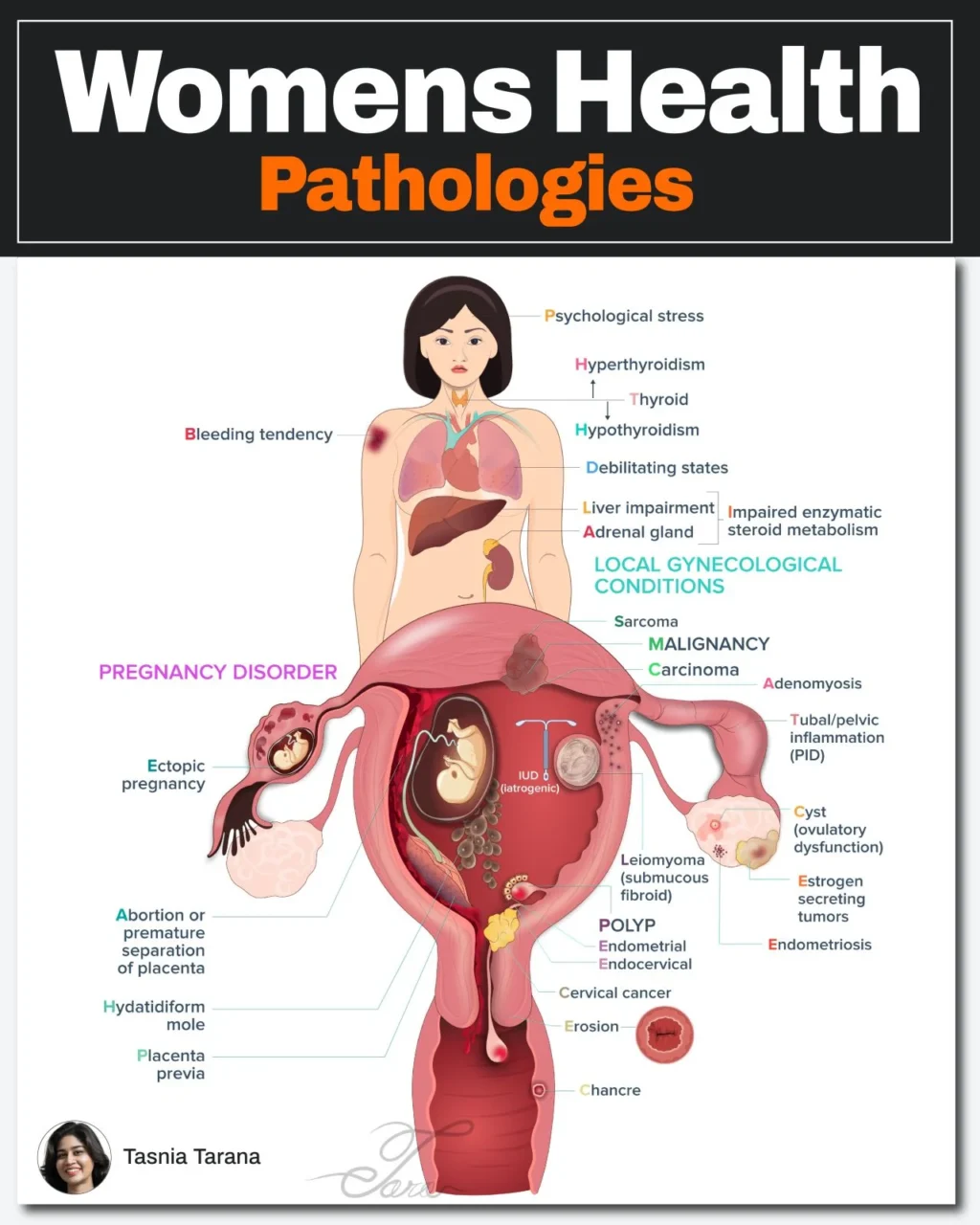 Tasnia Tarana: Heavy Menstrual Bleeding When the Cause Is Not in the Uterus 1 Tasnia Tarana: Heavy Menstrual Bleeding When the Cause Is Not in the Uterus
