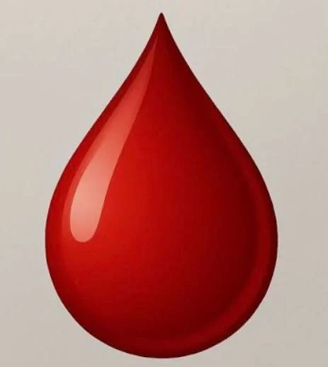 Stéphane Laurent: The People and Technology Behind Safe Blood Transfusion