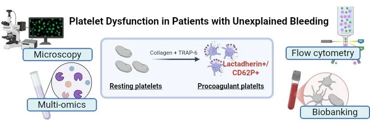 Dino Mehic: PhD Opportunity in Platelet Biology and Bleeding Disorders