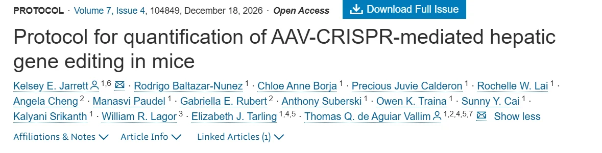 Thomas Vallim: New Protocol Improves Measurement of AAV-CRISPR Gene Editing