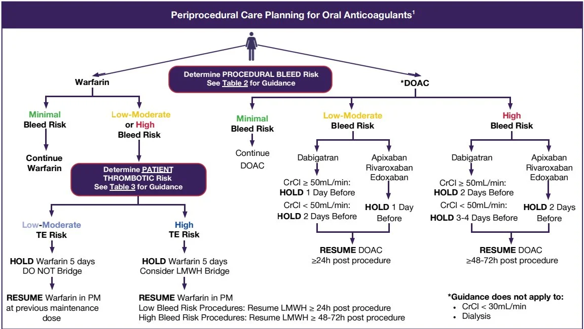 Dawood Findakly: When Should Anticoagulation Be Held or Resumed? 1 Dawood Findakly: When Should Anticoagulation Be Held or Resumed?