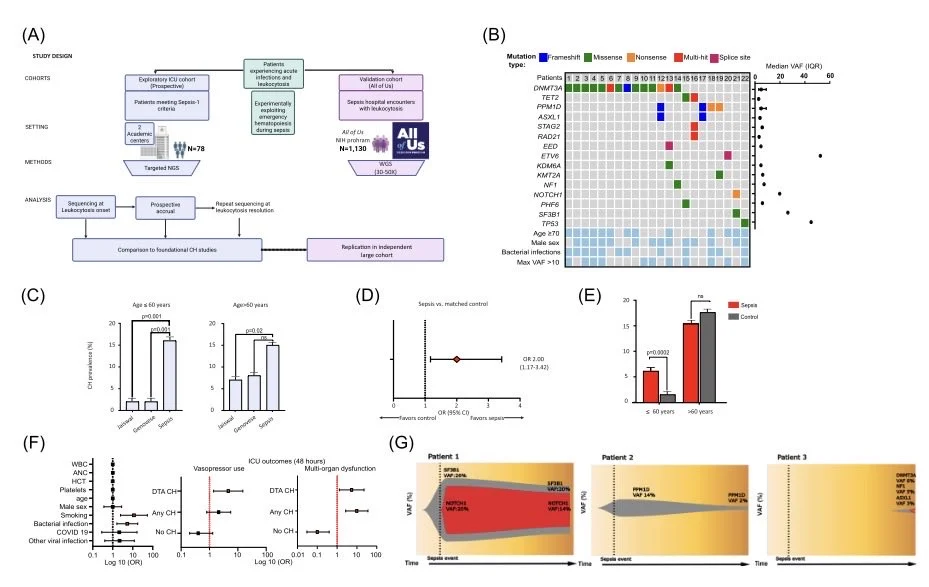 Carmelo Gurnari: Clonal Dynamics in the Bone Marrow During Sepsis and Emergency Haematopoiesis