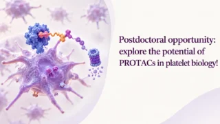 Ingeborg Hers: Exploring New Frontiers in Platelet Biology and Thrombosis Research