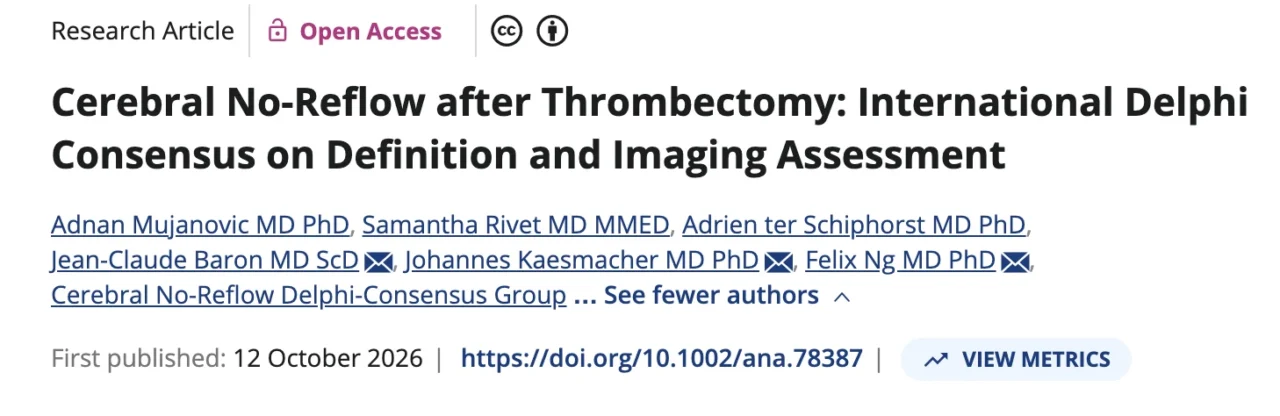 Johannes Kaesmacher: Cerebral No-Reflow After Thrombectomy Toward a Standardized Definition