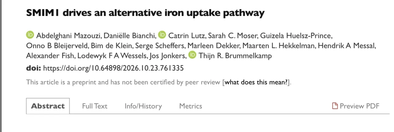 Thijn Brummelkamp: SMIM1 Reveals a Novel Pathway for Cellular Iron Uptake Through Haemoglobin 1 Thijn Brummelkamp: SMIM1 Reveals a Novel Pathway for Cellular Iron Uptake Through Haemoglobin