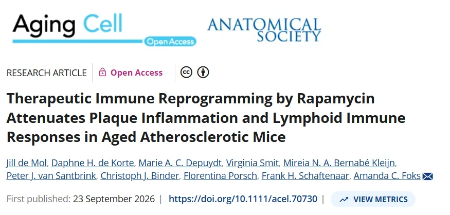 Jill de Mol։ Rapamycin Modulates Immune Responses in Aged Atherosclerosis