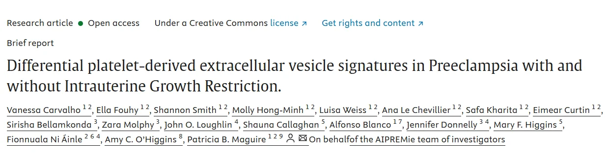 Vanessa Carvalho: New Research on Platelet-Derived Extracellular Vesicles in Preeclampsia
