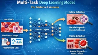 Vanrose Panashe Nyamangodo: A Multi-Task Deep Learning Model For Malaria And Anemia