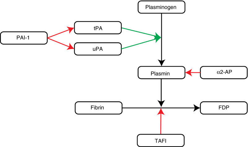 Hyperfibrinolysis 