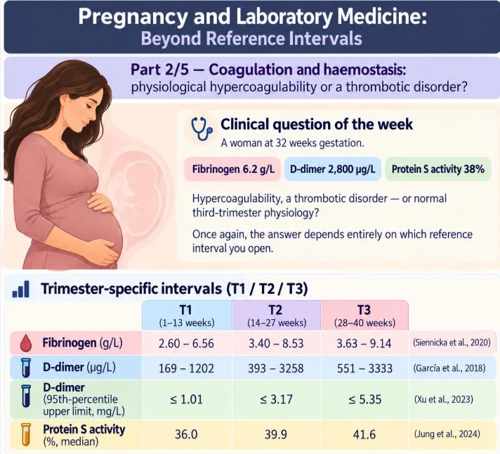 Brigitta Nicorici: Pregnancy and Laboratory Medicine 1 Brigitta Nicorici: Pregnancy and Laboratory Medicine